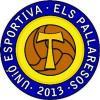 Amics i Veterans Els Pallaresos, A.E.
