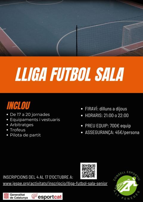 LLIGA DE FUTBOL SALA SÈNIOR