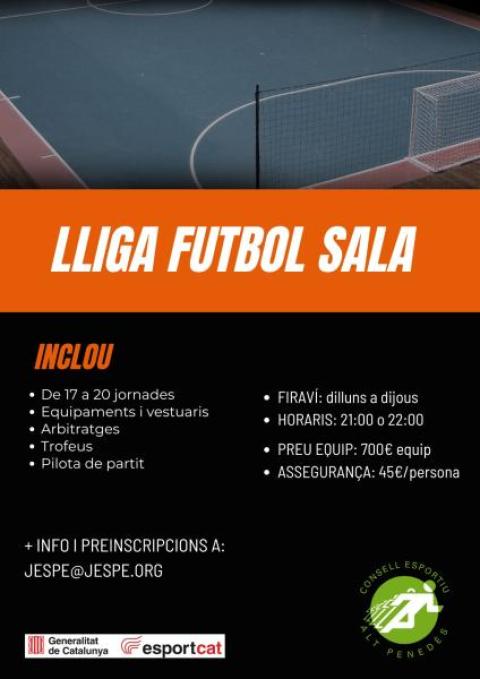 LLIGUES FUTBOL SALA I FUTBOL-7 SÈNIOR 
