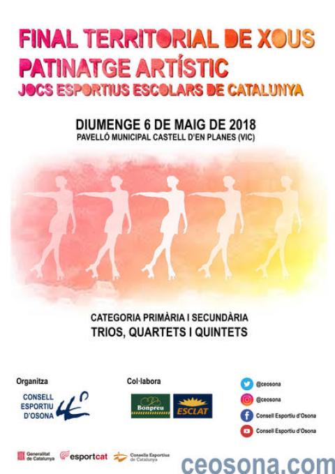 FINAL TERRITORIAL PATINATGE ARTÍSTIC XOUS