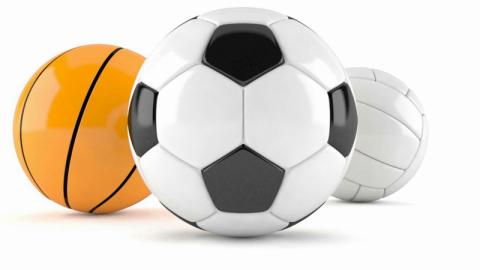 LLIGUES SÈNIORS 2018-19