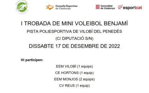 I TROBADA DE MINI VOLEIBOL BENJAMÍ 