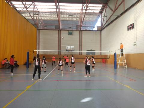 Última jornada abans de festes! 