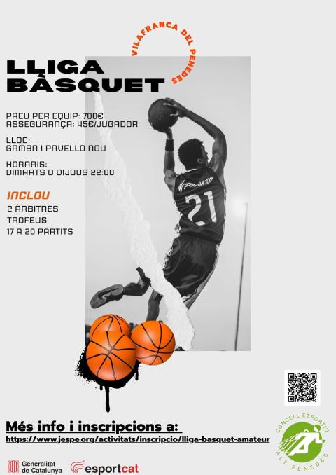LLIGA BÀSQUET SÈNIOR