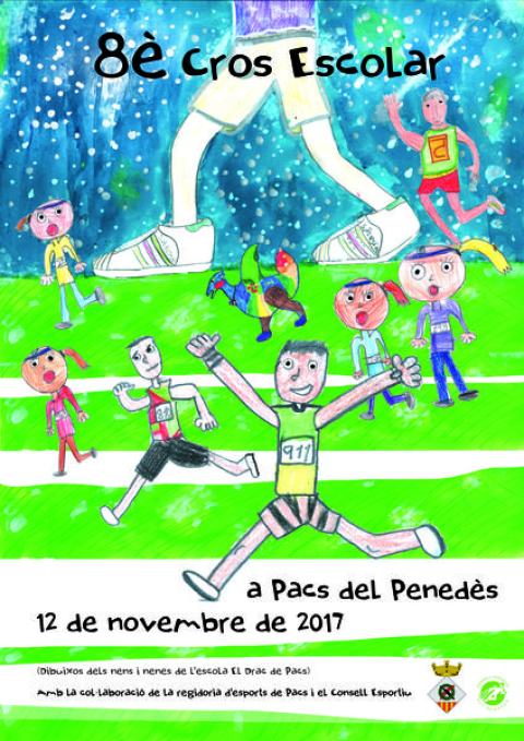 3r CROS ESCOLAR D'ENGUANY