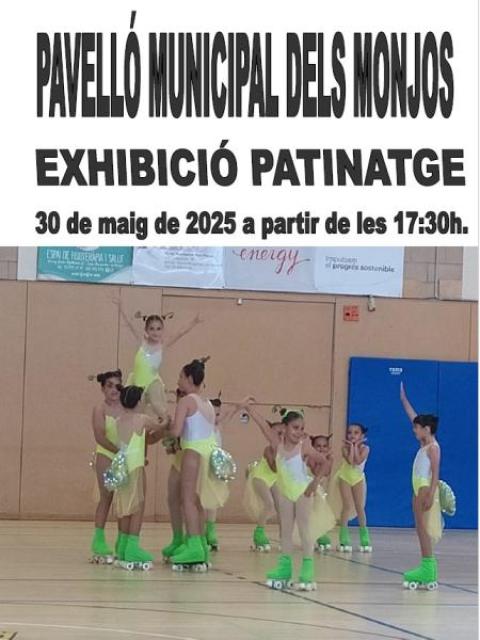 Exhibició Patinatge