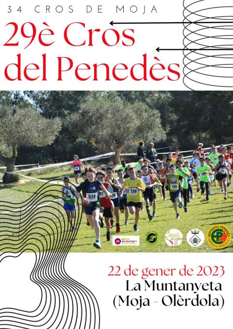 CROS A LA MUNTANYETA DE MOJA 