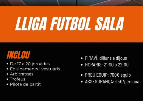 LLIGA DE FUTBOL SALA SÈNIOR
