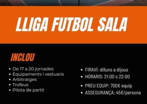 LLIGUES FUTBOL SALA I FUTBOL-7 SÈNIOR 