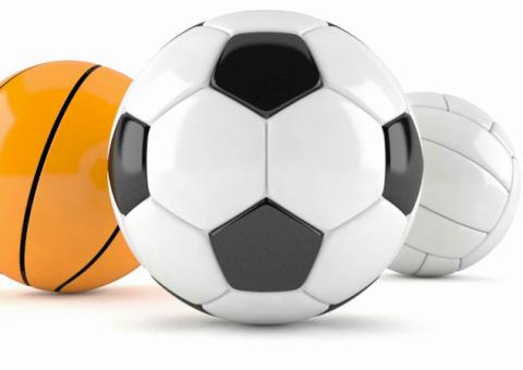 LLIGUES SÈNIORS 2018-19