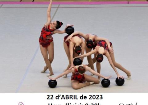 3a JORNADA GIMNÀSTICA RÍTMICA CONJUNTS 