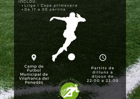 LLIGA DE FUTBOL 7 SÈNIOR 