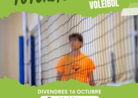 Formació Tutors/es de Joc Voleibol