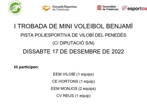 I TROBADA DE MINI VOLEIBOL BENJAMÍ 