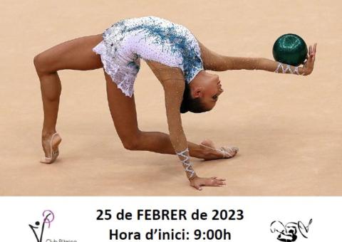 4a JORNADA  I FINAL GIMNÀSTICA RÍTMICA INDIVIDUAL 