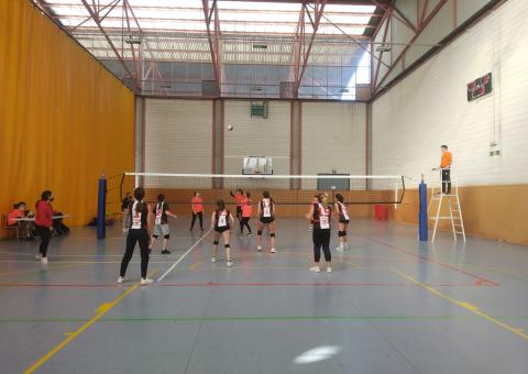 Última jornada abans de festes! 