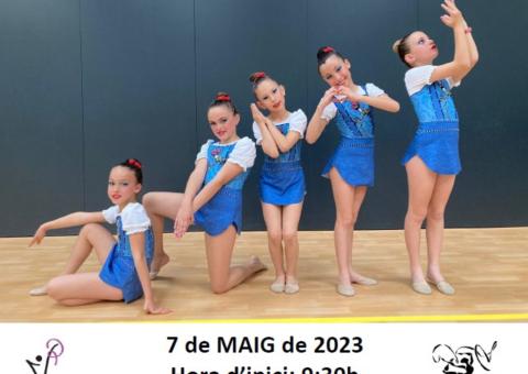 4a JORNADA GIMNÀSTICA RÍTMICA CONJUNT