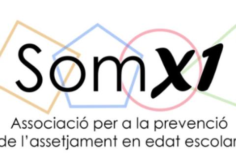 Protocols contra el bullying  per entitats esportives 