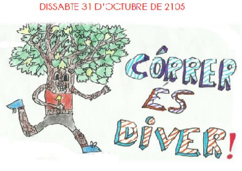 2n CROS ESCOLAR D'AQUEST CURS