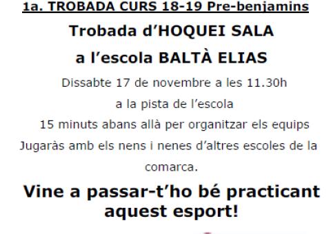 1a TROBADA PRE-BENJAMINA D'ENGUANY