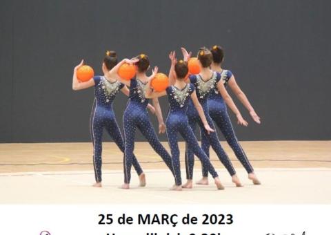 2a JORNADA GIMNÀSTICA RÍTMICA CONJUNTS 