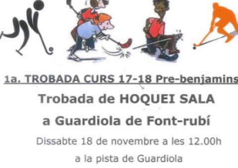 1ra TROBADA PRE-BENJAMINA d'ENGUANY