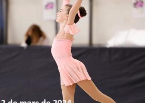 3a JORNADA PATINATGE ARTÍSTIC INDIVIDUAL 