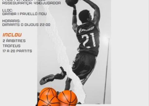 LLIGA BÀSQUET AMATEUR VILAFRANCA 