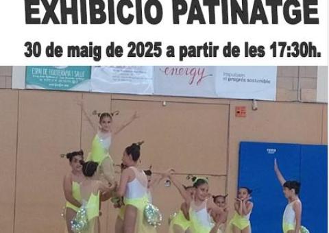 Exhibició Patinatge